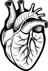 Minimalist Black and White Human Heart Diagram Vector.