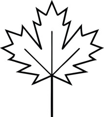 vector illustration of a leaf