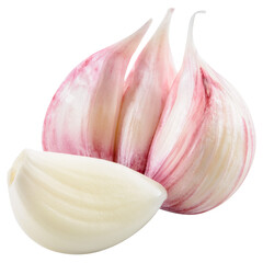 Garlic png. Garlic bulb with clove on white or transparent background. Perfect retouched garlic no background. Transparent png. Full depth of field.