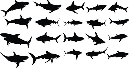 Fish shark icon and silhouette. flat collection