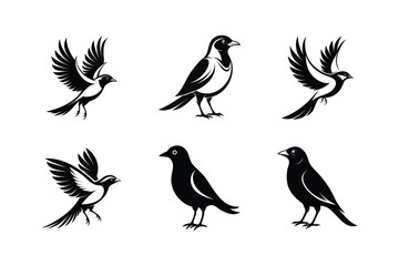 Philippine Falconet bird, silhouette vector illustration