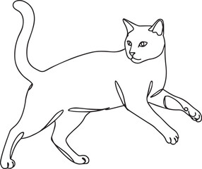 vector illustration of a cat. black line art cat in white background. 