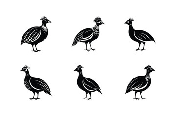 Crested Wood Partridge bird, silhouette vector illustration