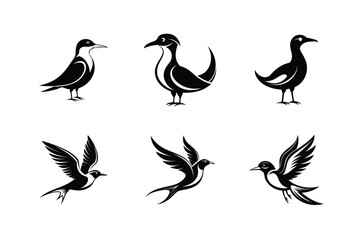 Inca Tern bird, silhouette vector illustration