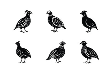 Button Quail bird, silhouette vector illustration