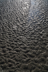 Tropical sandy beach showing changing patterns and textures with each tide and weather change