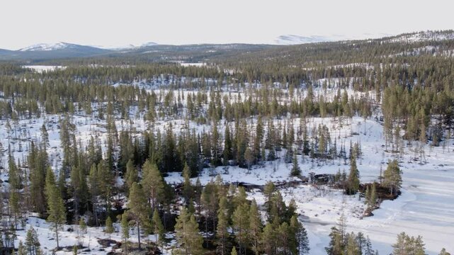 Ringebu Norway Snow-Covered Conifer Forest and Scenic Mountain Backdrop