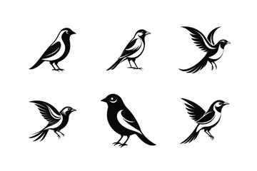 Paradise Tanager bird, silhouette vector illustration
