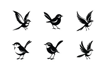 Splendid Fairywren bird, silhouette vector illustration
