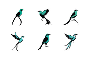 Turquoise-browed Motmot bird vector silhouette illustration