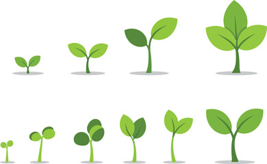 Green plant growth stages vector illustration with progressive leaf development and sprouting 