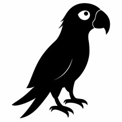 Minimalist Parrot Silhouette Vector
