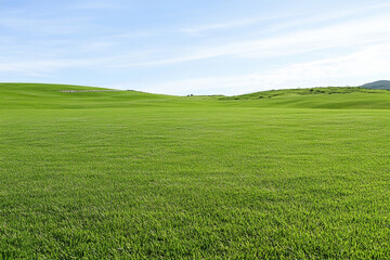 Fototapeta premium Rolling hills stretch under a clear blue sky, showcasing vibrant green grass across the landscape