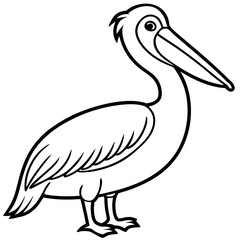Minimalist Pelican Line Art Vector