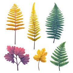 Fototapeta premium Colorful Variety of Autumn Leaves in Different Shapes and Textures, isolated on transparent background.