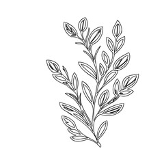 Botanical simplicity: delicate leaf design with minimalist outline drawing