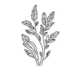 Elegant botanical sprig illustration, gracefully outlined in monochrome simplicity