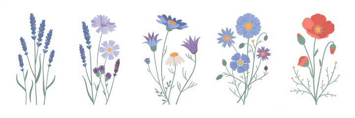 Delicate floral bouquet collection in pastel colors