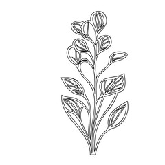 Elegant botanical line art showcasing a delicate floral sprig design