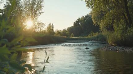 Naklejka premium A beautiful flowing river with trees and sunlight shining through