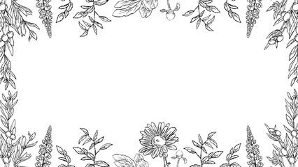 Fototapeta premium Flower Line Art Wallpaper Banner Frame Black Color. Best for wedding, event banner.