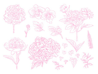 Flower Line Art Pink Color Hand Drawn Bundle Set with Leaves