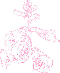 Flower and Leaf Line Art Pink Color Hand Drawn Sketch Style