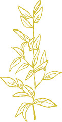 Flower and Leaf Line Art Gold Color Hand Drawn Sketch Style