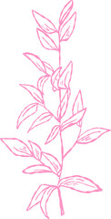 Flower and Leaf Line Art Pink Color Hand Drawn Sketch Style