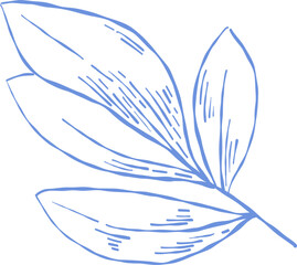 Flower and Leaf Line Art Blue Color Hand Drawn Sketch Style