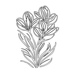 Elegant Floral Arrangement: A Delicate Line Art Depicting Blooming Botanical Beauty