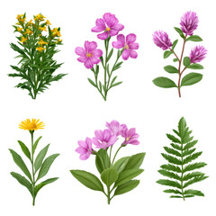 Obraz premium Colorful Collection of Hand-Drawn Wildflowers and Green Plants, isolated on transparent background.