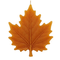 Candle in the shape of an autumn leaf isolated on transparent or white background, png 