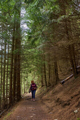 Obraz premium Woman hiking on forest trail