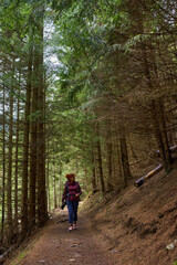 Obraz premium Woman hiking on forest trail