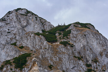 Mountain cliffs and forest view