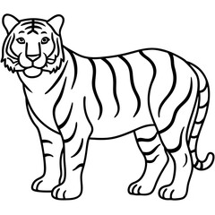 Minimalist Tiger Line Art