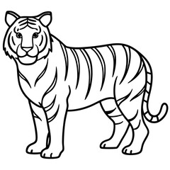Minimalist Tiger Line Art