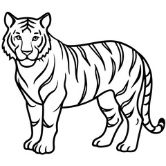 Minimalist Tiger Line Art