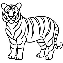 Minimalist Tiger Line Art