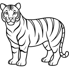 Minimalist Tiger Line Art