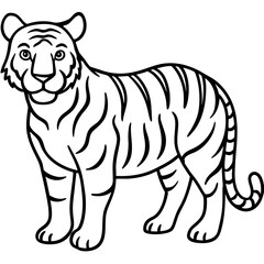 Minimalist Tiger Line Art