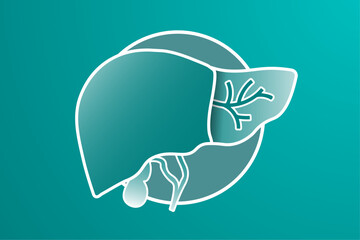 Simple Liver shape illustration cut in half to view cystic ducts, on gray background with ring frame. Gallbladder behind liver. Liver anatomy background template with  copy space. Vector Illustration.