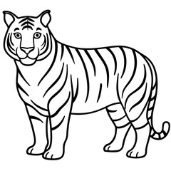 Minimalist Tiger Line Art