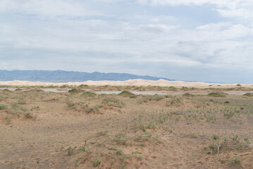 gobi desert