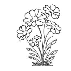 Delicate daisy line art illustration for creative design and coloring projects