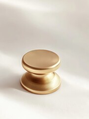 Elegant Gold Door Knob on Soft Light Background
