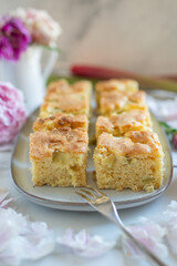 Home made Sweet Rhubarb cake with fresh rhubarb