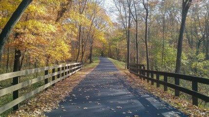 Pathway winds invitingly displaying colorful trees foliage wooden fence fallen leaves beckoning peaceful walk.