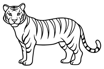 Minimalist Tiger Vector